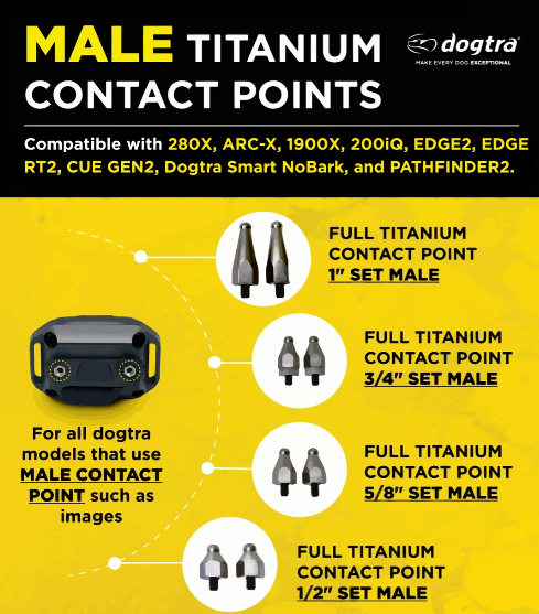 DOGTRA - Full Titanium Contact Point 1" Set Male For 1900X, 280X