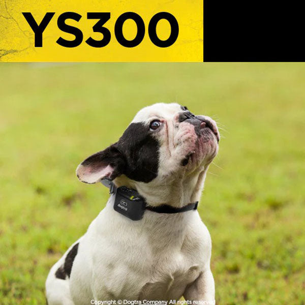 DOGTRA - YS300 No Bark Collar