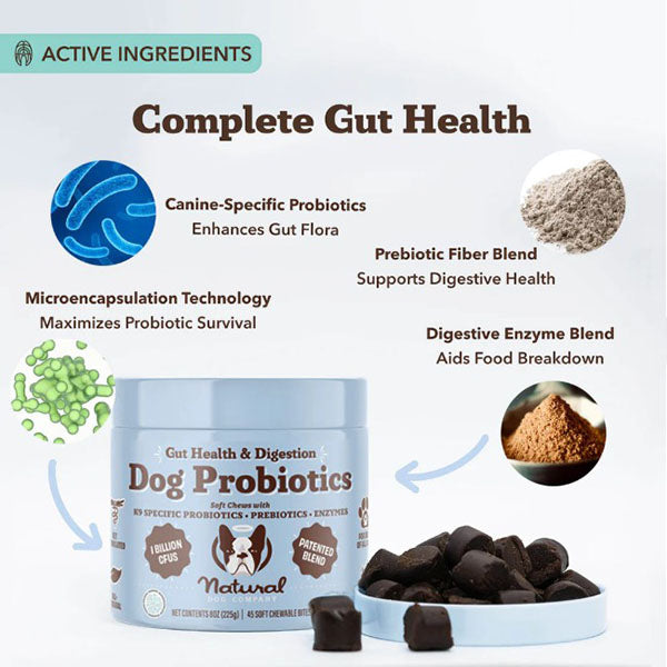 NATURAL DOG COMPANY - Super-Flora Probiotic Supplement