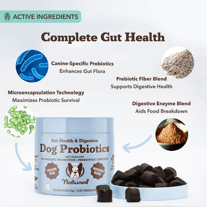 NATURAL DOG COMPANY - Super-Flora Probiotic Supplement