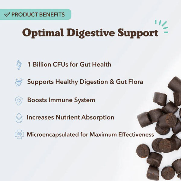 NATURAL DOG COMPANY - Super-Flora Probiotic Supplement