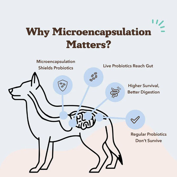 NATURAL DOG COMPANY - Super-Flora Probiotic Supplement