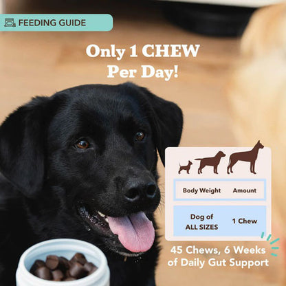 NATURAL DOG COMPANY - Super-Flora Probiotic Supplement