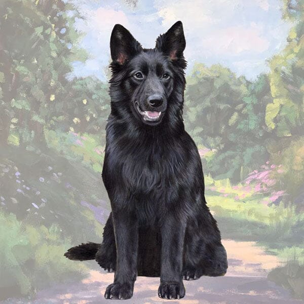 E&S - Black German Shepherd Square Coaster Coaster ES Pets 