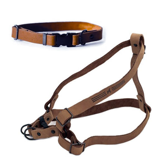 Euro Dog Leather Sport Collar & Sport Harness Bundle