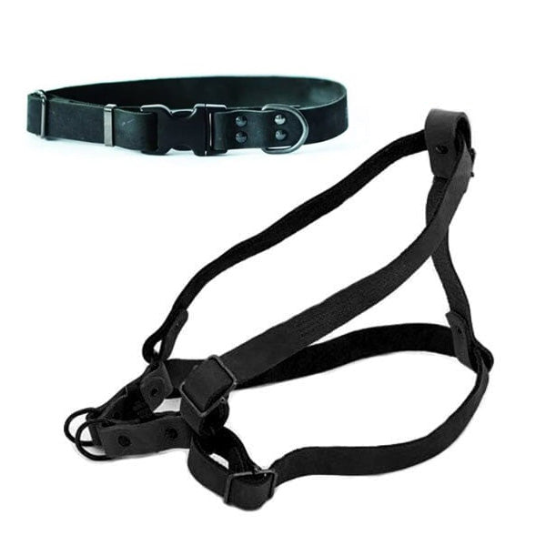Euro Dog Leather Sport Collar & Sport Harness Bundle