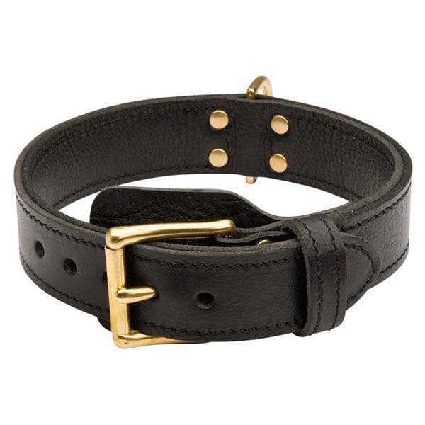 FOR DOG TRAINERS - 2 Ply Leather Agitation Dog Collar in 17 in, durable for dogs
