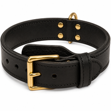 FDT 2-Ply Leather Agitation Collar for Dogs – Heavy-Duty Working Dog Collar