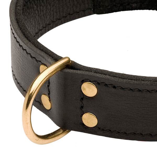 FOR DOG TRAINERS - 2 Ply Leather Agitation Dog Collar in , durable for dogs