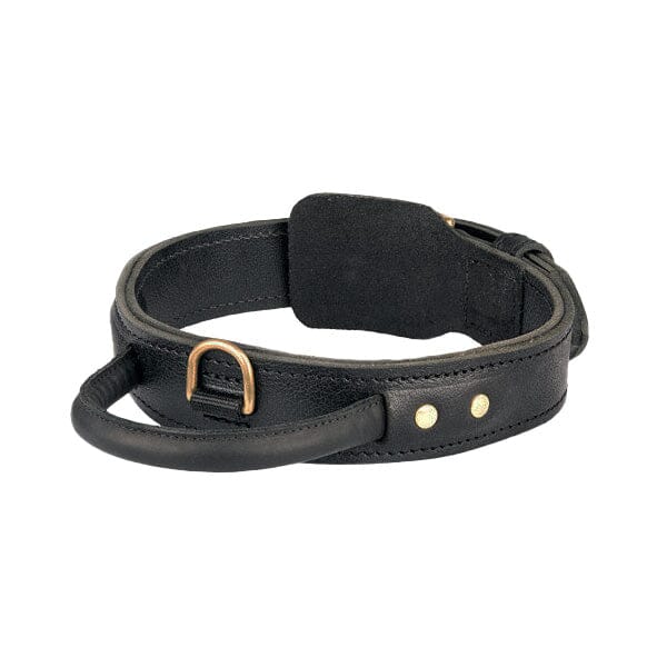 FOR DOG TRAINERS - Extra Durable 2 Ply Leather Dog Collar With Handle in 17 in, durable for dogs
