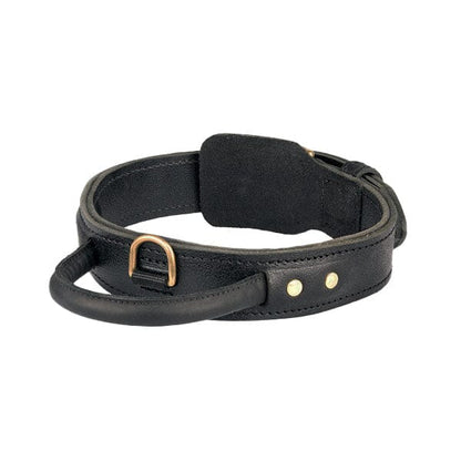 FOR DOG TRAINERS - Extra Durable 2 Ply Leather Dog Collar With Handle in 17 in, durable for dogs