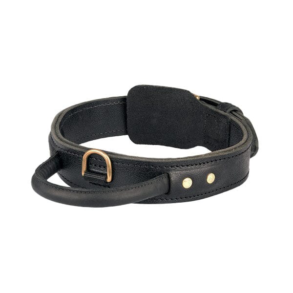 FOR DOG TRAINERS - Extra Durable 2 Ply Leather Dog Collar With Handle For Dog Trainers 17 in 