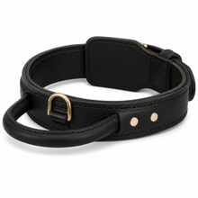 FDT Extra Durable 2-Ply Leather Collar with Handle – Heavy-Duty Working Dog Collar