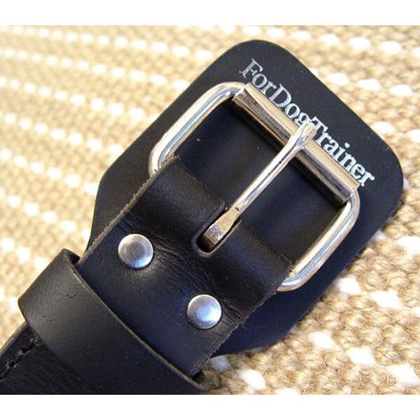 FOR DOG TRAINERS - Extra Durable 2 Ply Leather Dog Collar With Handle in , durable for dogs