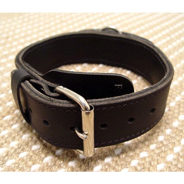 FOR DOG TRAINERS - Extra Durable 2 Ply Leather Dog Collar With Handle in , durable for dogs
