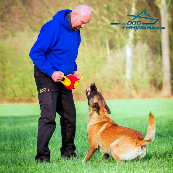 For Dog Trainers - French Linen Ball 6-in With Two Handles in , durable for dogs