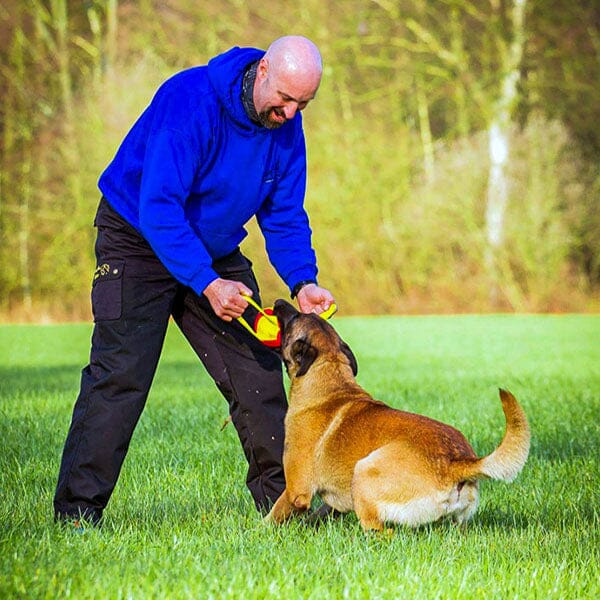 For Dog Trainers - French Linen Ball 6-in With Two Handles in , durable for dogs