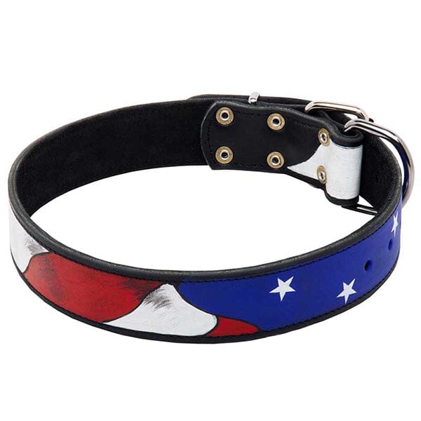 FOR DOG TRAINERS - Hand Painted "American Pride" Leather Dog Collar in 19 in, durable for dogs