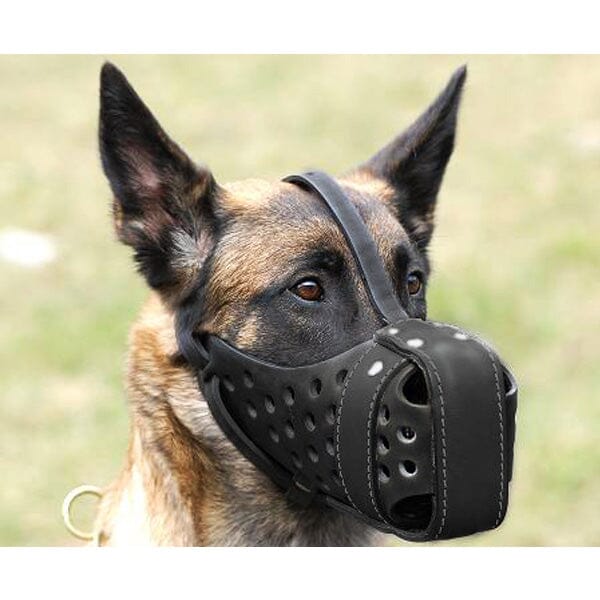 FOR DOG TRAINERS - Handcrafted Style Leather Dog Muzzle in , durable for dogs