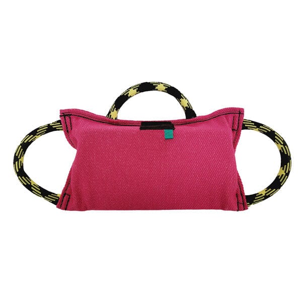 GAPPAY - Wedge Pillow - Synthetic in Hot Pink, durable Pet Training Aids for dogs