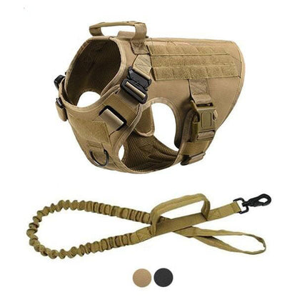 GSS - Tactical Dog Harness w/ Tactical Bungee Leash V2