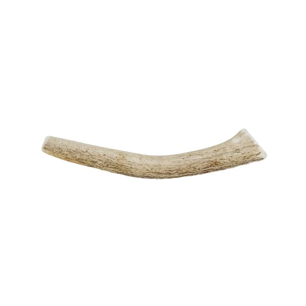 GSS- USA Rocky Mountain Elk Antler Typical Medium/Hard to Hard German Shepherd Shop Medium 4.5-5.5oz 