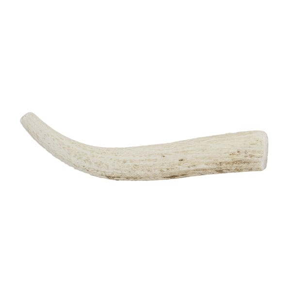 GSS- USA Rocky Mountain Elk Antler Typical Medium/Hard to Hard German Shepherd Shop X-Large 8.5-10oz 