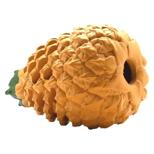 Treat Dispensing Dog Toy - Pine Cones