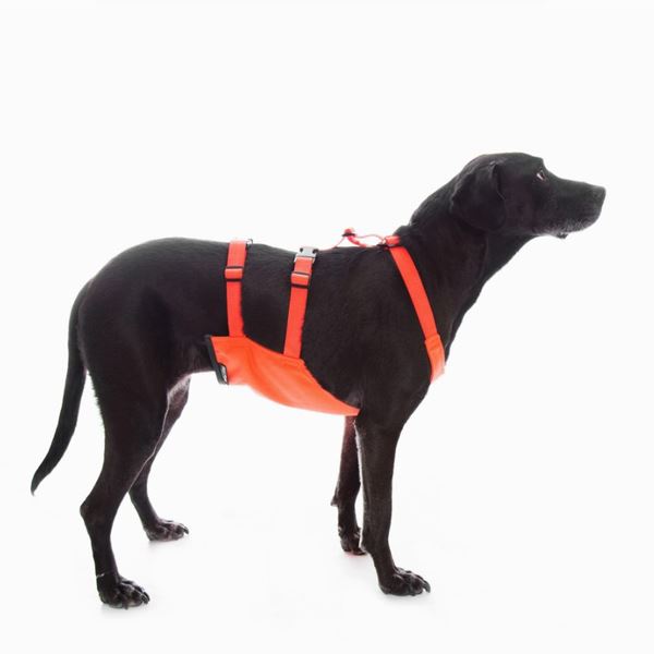 Mendota Pet - Skid Plates - Dog Chest/Belly Protector Pet Collars & Harnesses Mendota Pet 