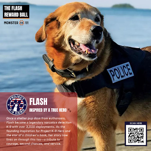 Monster K9 Flash Reward Ball – Durable Reward Ball for Training & Play