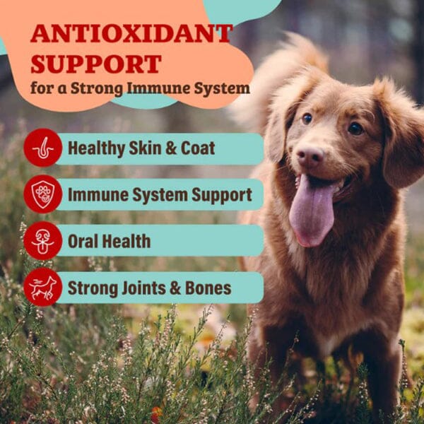 Natural Dog Company - Antioxidant Berry Granules Animals & Pet Supplies Natural Dog Company 