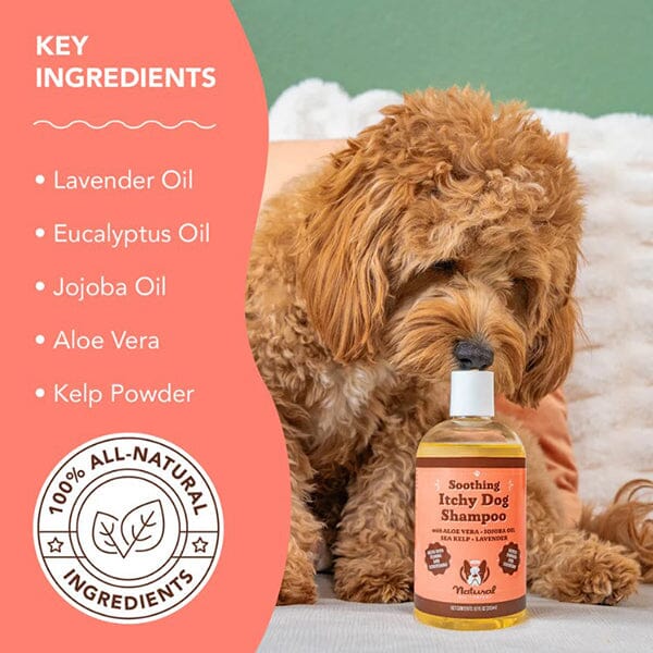 NATURAL DOG COMPANY - Itchy Dog Shampoo in , durable for dogs
