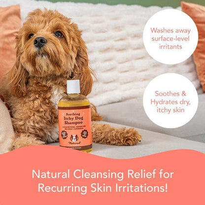 NATURAL DOG COMPANY - Itchy Dog Shampoo in , durable for dogs