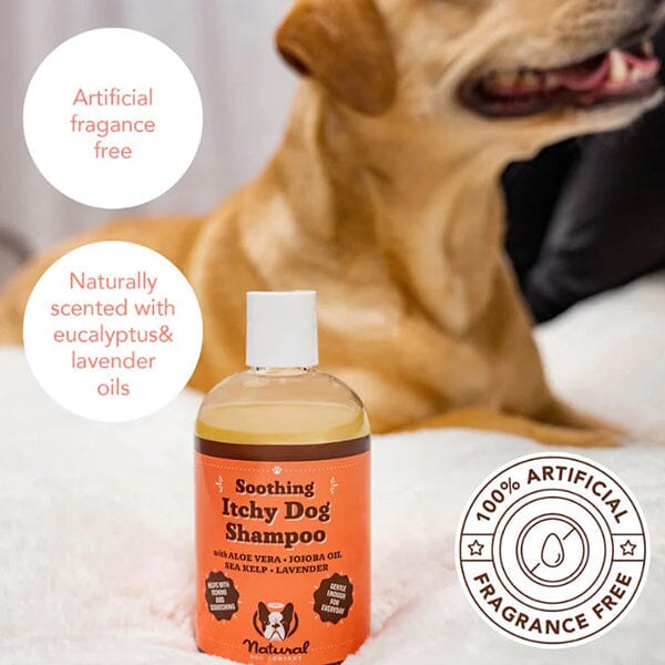 NATURAL DOG COMPANY - Itchy Dog Shampoo in , durable for dogs