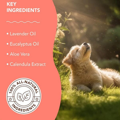 NATURAL DOG COMPANY - Itchy Dog Spritz in , durable for dogs
