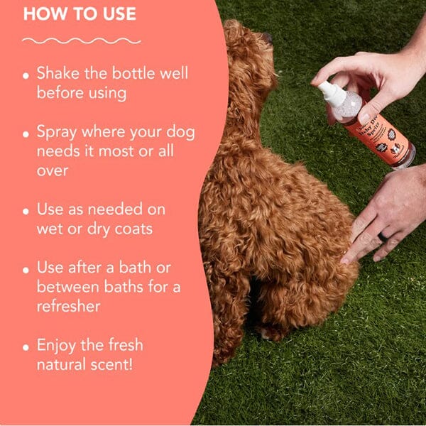 NATURAL DOG COMPANY - Itchy Dog Spritz Natural Dog Company 