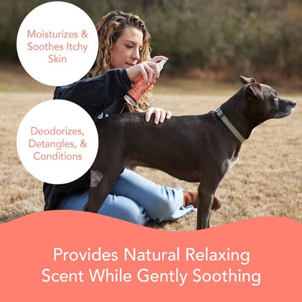 NATURAL DOG COMPANY - Itchy Dog Spritz in , durable for dogs