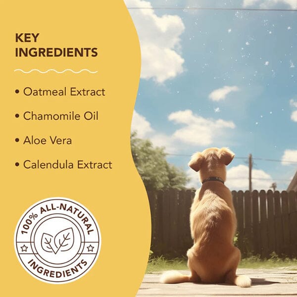 aloe vera plant on dogs skin NATURAL DOG COMPANY