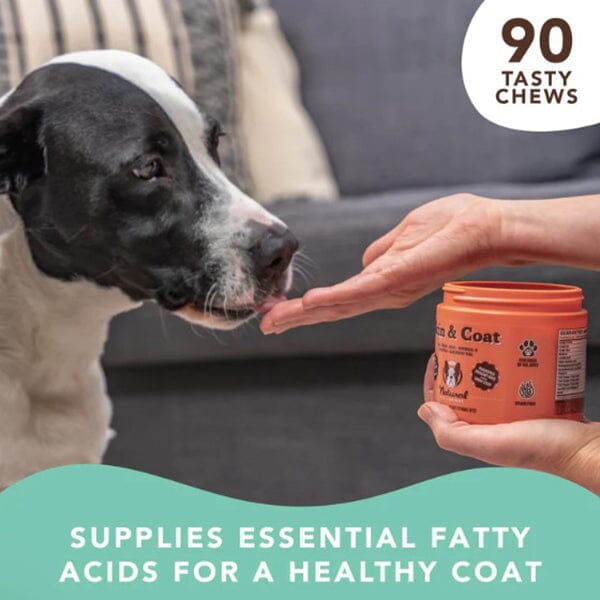 NATURAL DOG COMPANY - Skin & Coat Supplements in , durable Pet Vitamins & Supplements for dogs