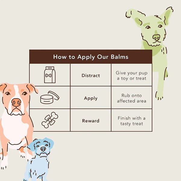 NATURAL DOG COMPANY - Skin Soother 2oz Stick in , durable Pet Medicine for dogs