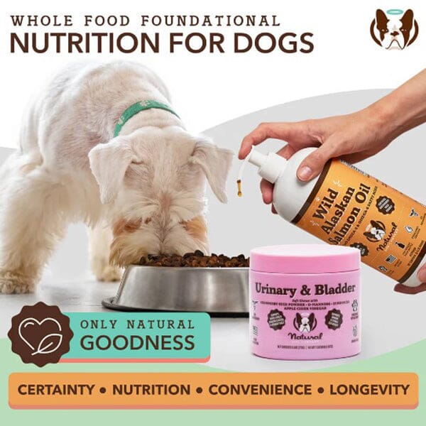 NATURAL DOG COMPANY - Urinary & Bladder Supplement Pet Vitamins & Supplements Natural Dog Company 