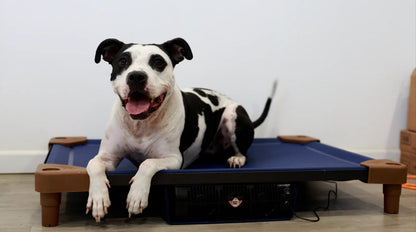 PETCOT AirCot Cooling Dog Bed – Elevated Airflow Cooling System