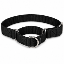 PetSafe Martingale Collar for Dogs – Adjustable No-Slip Training Collar
