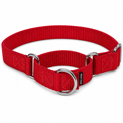 PetSafe Martingale Collar for Dogs – Adjustable No-Slip Training Collar
