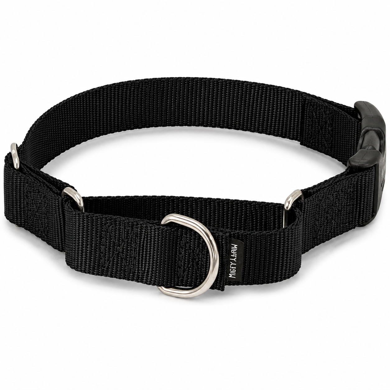PetSafe Martingale Collar with Quick Snap Buckle for Dogs – Adjustable No-Slip Training Collar