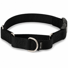 PetSafe Martingale Collar with Quick Snap Buckle for Dogs – Adjustable No-Slip Training Collar