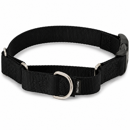 PetSafe Martingale Collar with Quick Snap Buckle for Dogs – Adjustable No-Slip Training Collar