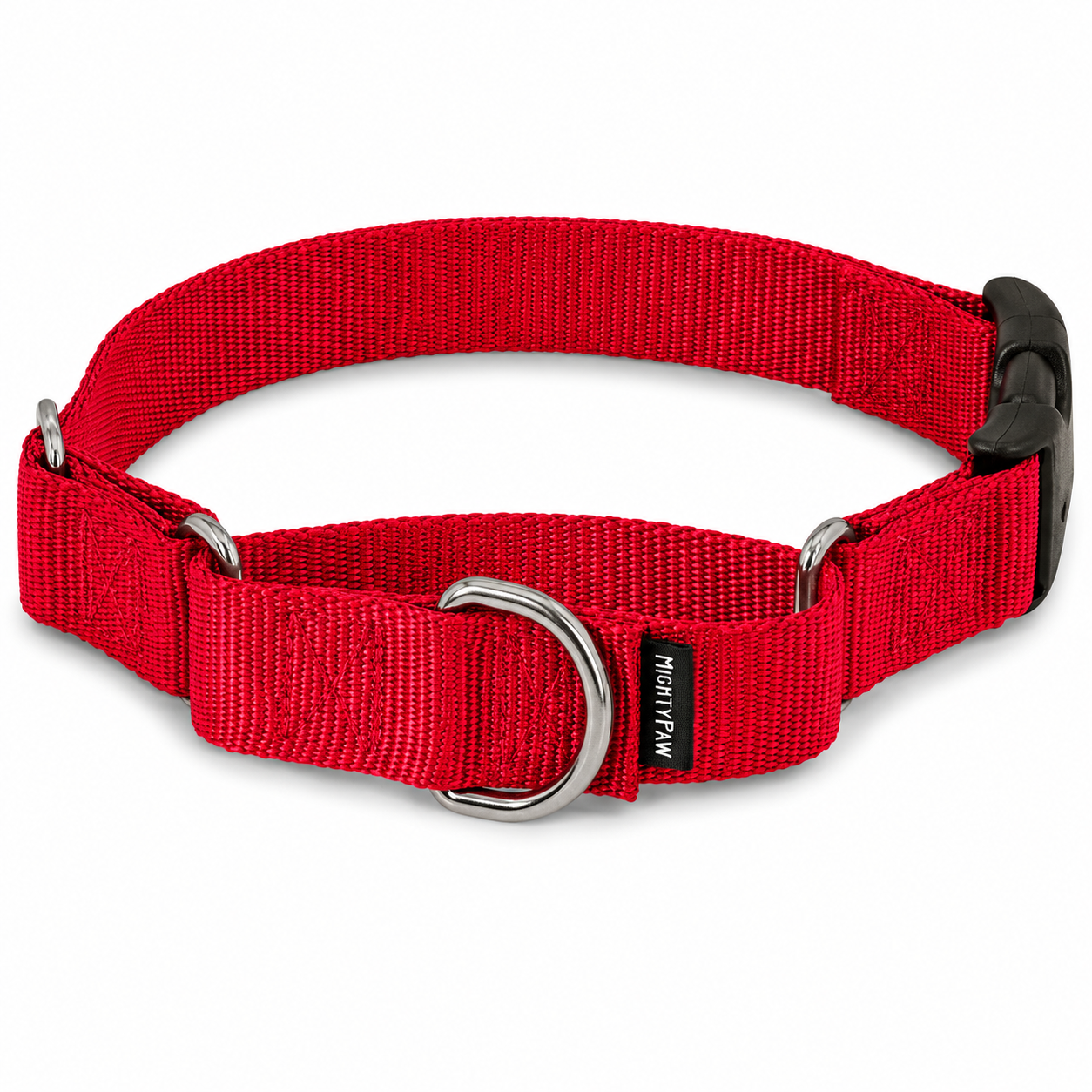 PetSafe Martingale Collar with Quick Snap Buckle for Dogs – Adjustable No-Slip Training Collar