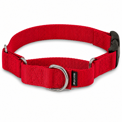 PetSafe Martingale Collar with Quick Snap Buckle for Dogs – Adjustable No-Slip Training Collar