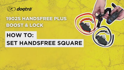 DOGTRA - 1902S Hands Free Plus Boost & Lock Remote Trainer